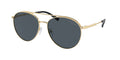 Gafas de Sol Michael Kors Arches MK1138 Dorado Claro y Gris Oscuro Sólido