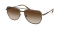 Gafas de Sol Michael Kors Whistler MK1155 Hollejo Mate y Marrón Degradé