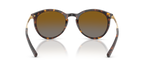 Gafas de Sol Michael Kors Adrianna III MK2023 Carey Oscuro y Marrón Degradé Polarizado