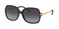 Gafas de Sol Michael Kors Adrianna II MK2024 Negro y Gris Claro Degradé
