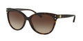 Gafas de Sol Michael Kors Jan MK2045 Carey Oscuro y Marrón Degradé