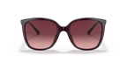 Gafas de Sol Michael Kors Anaheim MK2137U Cordobán y Cordobán Degradé
