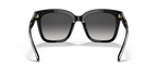 Gafas de Sol Michael Kors San Marino MK2163 Negro y Gris Oscuro Degradé