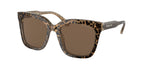 Gafas de Sol Michael Kors San Marino MK2163 Marrón y Marrón Sólido