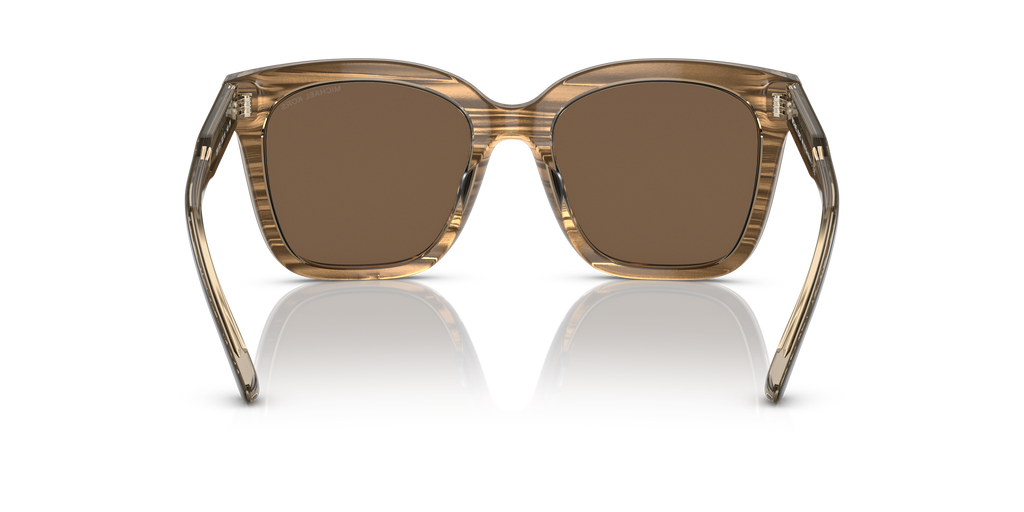 Gafas de Sol Michael Kors San Marino MK2163 Marrón y Marrón Sólido