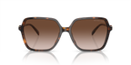 Gafas de Sol Michael Kors Jasper MK2196U Carey Oscuro y Marrón Degradé