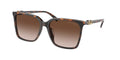 Gafas de Sol Michael Kors Canberra MK2197U Carey Oscuro y Marrón Degradé