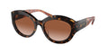 Gafas de Sol Michael Kors Brussels MK2204U Carey Oscuro y Marrón Degradé