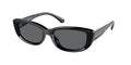 Gafas de Sol Michael Kors Asheville MK2210U Negro y Gris Oscuro Sólido