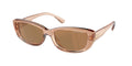 Gafas de Sol Michael Kors Asheville MK2210U Marrón Traslúcido y Marrón y Negro