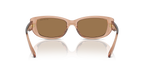 Gafas de Sol Michael Kors Asheville MK2210U Marrón Traslúcido y Marrón y Negro