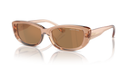 Gafas de Sol Michael Kors Asheville MK2210U Marrón Traslúcido y Marrón y Negro