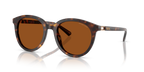Gafas de Sol Michael Kors Big Bend MK2227 Carey Oscuro y Marrón Sólido