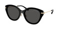 Gafas de Sol Michael Kors Tianjin MK2229D Negro y Gris Oscuro Sólido