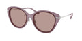 Gafas de Sol Michael Kors Tianjin MK2229D Iris claro y Light Iris Solid