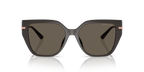 Gafas de Sol Michael Kors St. Barths MK2231U Ceniza y Ash Solid