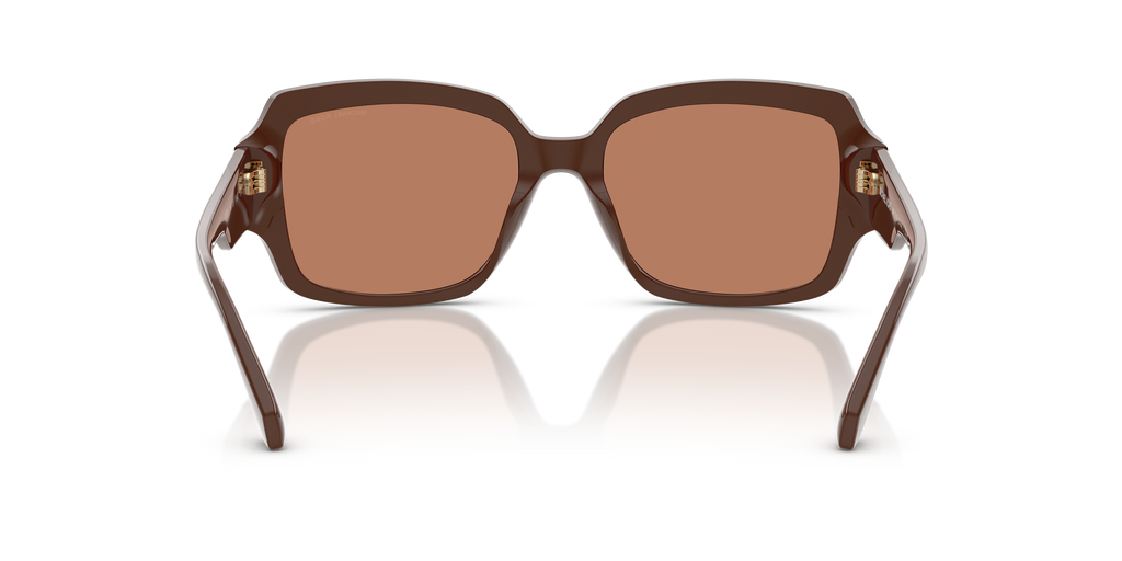 Gafas de Sol Michael Kors Châtel MK2233B Nuez moscada y Nuez moscada sólido