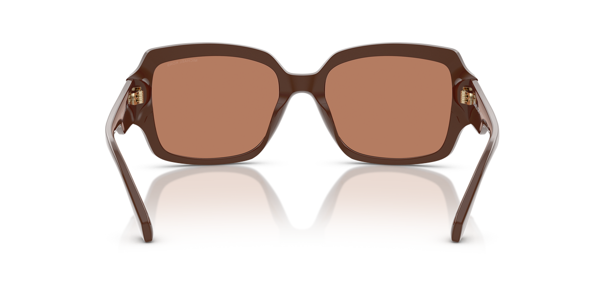 Gafas de Sol Michael Kors Châtel MK2233B Nuez moscada y Nuez moscada sólido