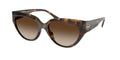 Gafas de Sol Michael Kors Boca Raton MK2241U Carey Oscuro y Humo Degradé