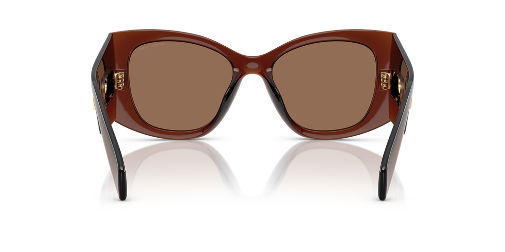 Gafas de Sol Michael Kors Costa Blanca MK2244U Marrón Traslúcido y Marrón Sólido