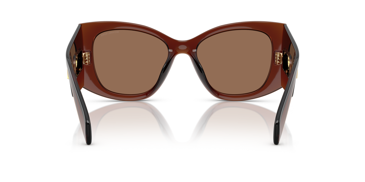Gafas de Sol Michael Kors Costa Blanca MK2244U Marrón Traslúcido y Marrón Sólido