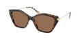 Gafas de Sol Michael Kors Catskills MK2246U Tortuga oscuro/crema y Marrón Sólido
