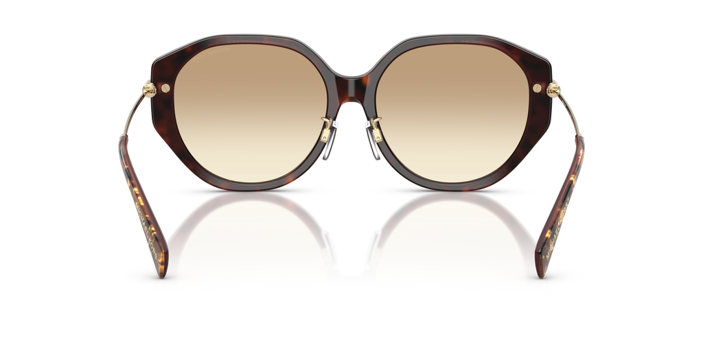 Gafas de Sol Michael Kors Jinan MK2248D Tortuga perlada marrón y Marrón Degradé