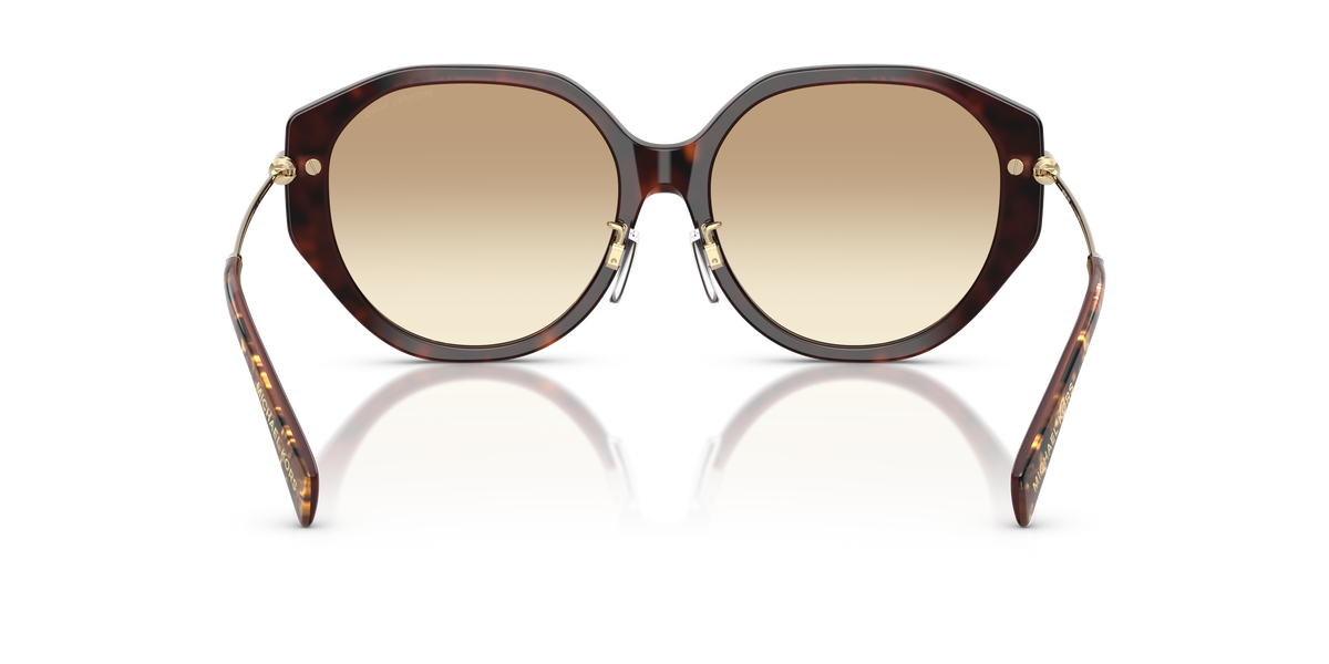 Gafas de Sol Michael Kors Jinan MK2248D Tortuga perlada marrón y Marrón Degradé