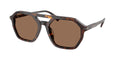 Gafas de Sol Michael Kors Jackson Hole MK2251U Carey Oscuro y Marrón Sólido