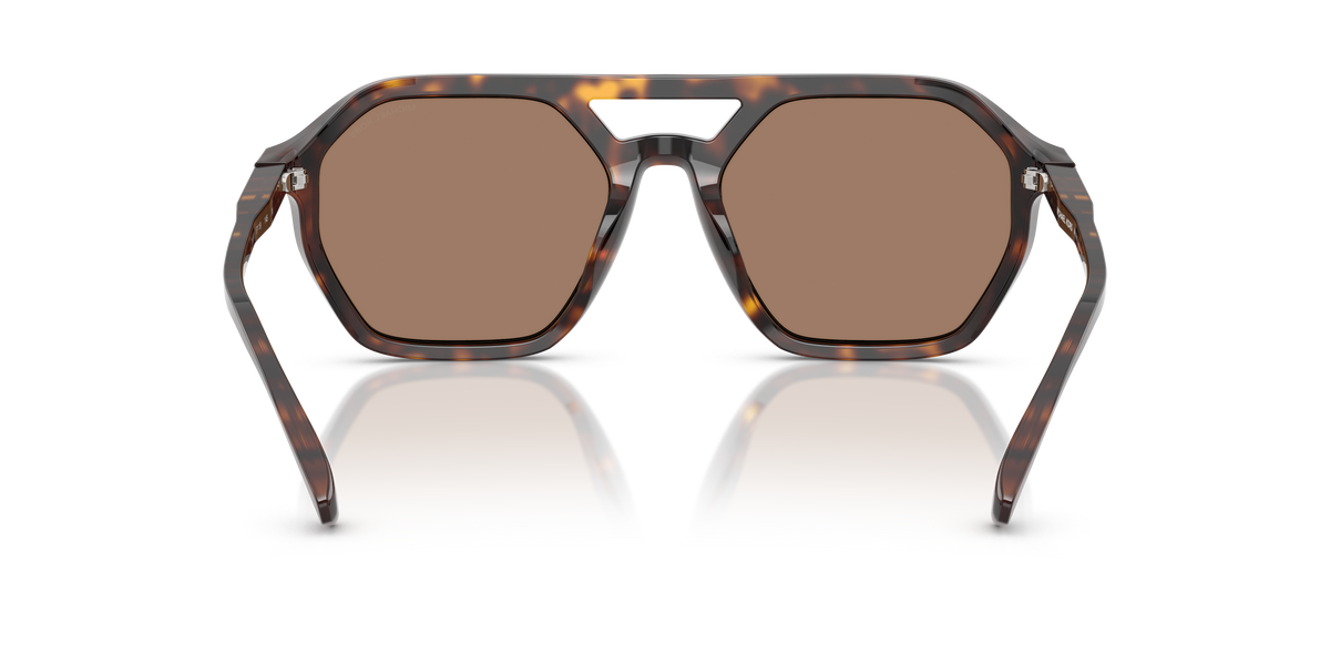 Gafas de Sol Michael Kors Jackson Hole MK2251U Carey Oscuro y Marrón Sólido