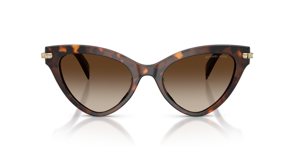Gafas de Sol Michael Kors Roanoke MK2259U Luggage Tortoise y Humo Degradé