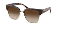 Gafas de Sol Michael Kors St. Eustatius MK2262 Carey Oscuro y Humo Degradé