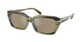 Gafas de Sol Michael Kors Lake Tahoe MK2265U Cuerno Verde Olivo y Marrón y Plateado Espejado