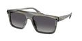 Gafas de Sol Michael Kors Boston MK2278U Cuerno y Gris Polarizado