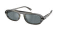 Gafas de Sol Michael Kors Watch Hill MK2279U Cuerno y Gris