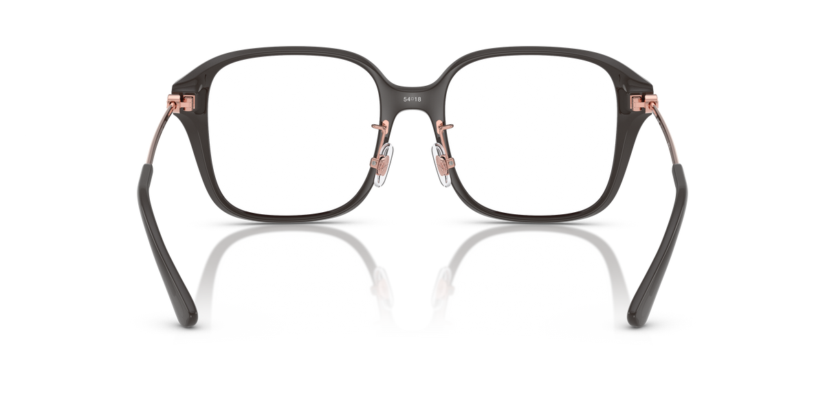 Gafas Oftálmicas Michael Kors Hangzhou MK4131D Ceniza