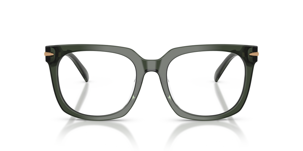 Gafas Oftálmicas Michael Kors Ontario MK4176U Verde Traslúcido