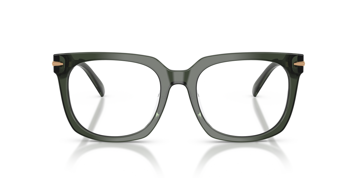Gafas Oftálmicas Michael Kors Ontario MK4176U Verde Traslúcido