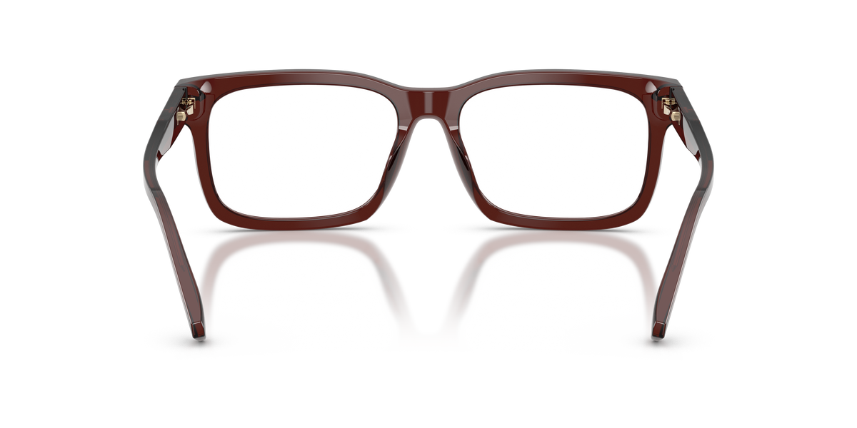 Gafas Oftálmicas Michael Kors Ottawa MK4177U Marrón Traslúcido