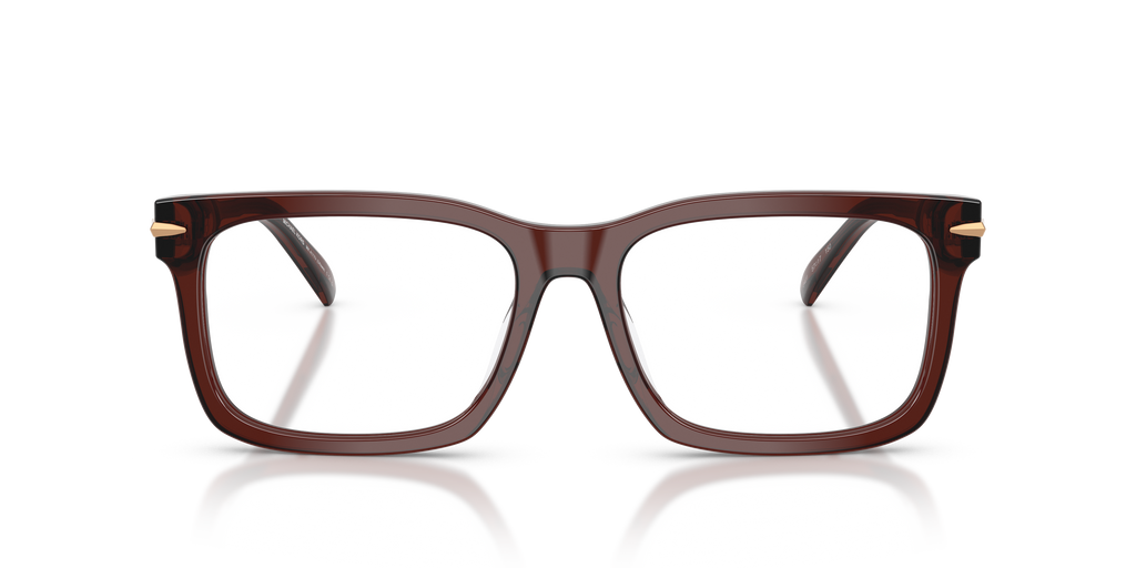 Gafas Oftálmicas Michael Kors Ottawa MK4177U Marrón Traslúcido