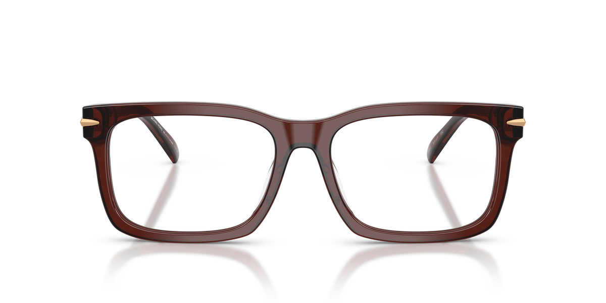 Gafas Oftálmicas Michael Kors Ottawa MK4177U Marrón Traslúcido