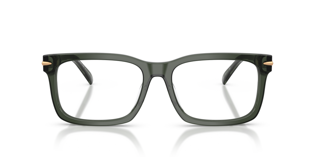 Gafas Oftálmicas Michael Kors Ottawa MK4177U Verde Traslúcido