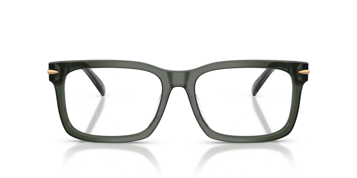 Gafas Oftálmicas Michael Kors Ottawa MK4177U Verde Traslúcido