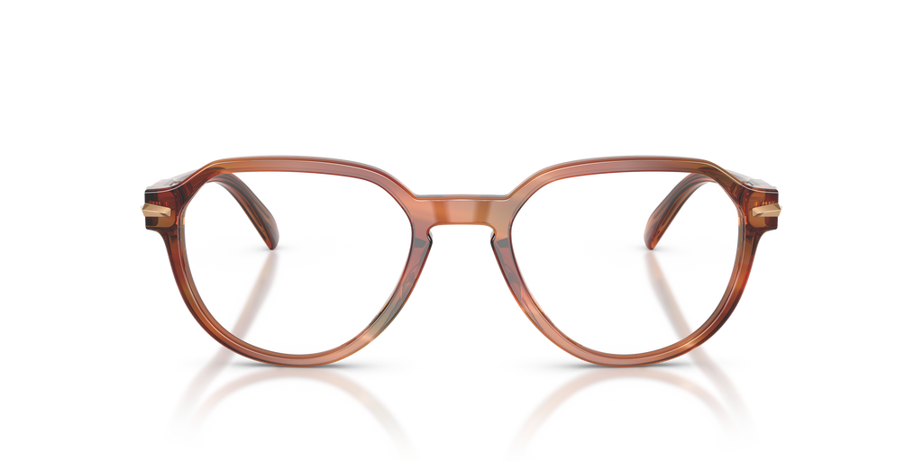 Gafas Oftálmicas Michael Kors Westerly MK4187U Cuerno Marrón