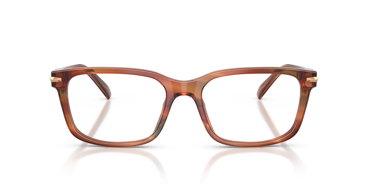 Gafas Oftálmicas Michael Kors Seal Harbor MK4188U Cuerno Marrón