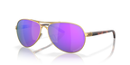 0OO4079__407939__P21__shad__qt.png