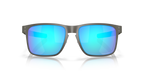 0OO4123__412307__P21__shad__fr.png