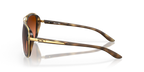 0OO4129__412918__P21__shad__lt.png