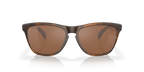 Gafas de Sol Oakley Frogskins™ OO9013 Carey Mate