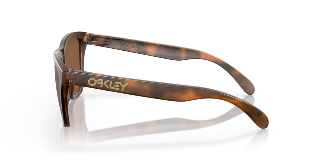 Gafas de Sol Oakley Frogskins™ OO9013 Carey Mate